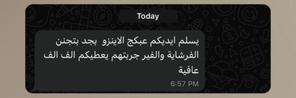 بديل الدايسون من انزو