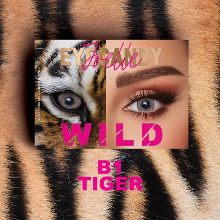 Eyecandy Wild B1 Tiger-عدسات جويل أيكاندي وايلد