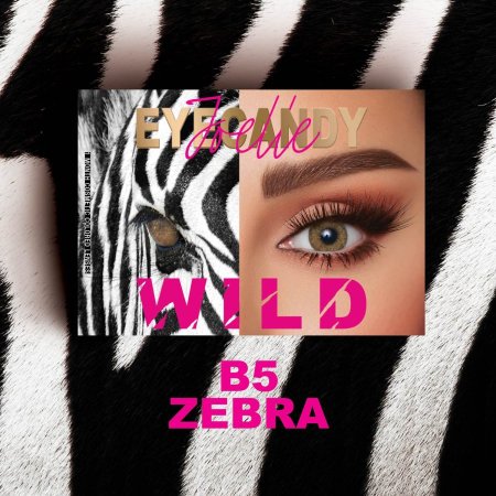 Eyecandy Wild B5 Zebra-عدسات جويل أيكاندي وايلد