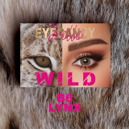 Eyecandy Wild B6 Lynx-عدسات جويل أيكاندي وايلد