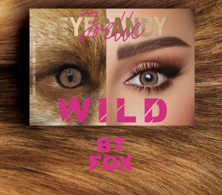 Eyecandy Wild B7 Fox-عدسات جويل أيكاندي وايلد