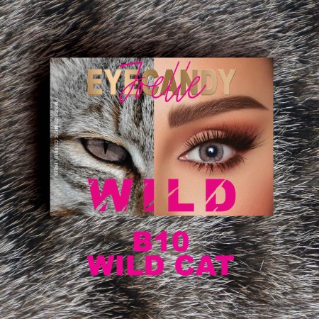 Eyecandy Wild B10 Wild Cat-عدسات جويل أيكاندي وايلد